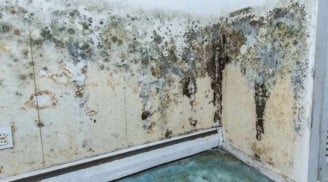 Tường bị ẩm mốc, bong tróc mất thẩm mỹ: Làm cách này là tường sạch đẹp, không tốn chi phí