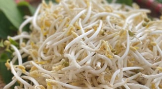 4 loại rau bổ hơn thịt, rẻ hơn thuốc, quý như nhân sâm – nhiều người bỏ qua mà không biết