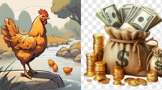 Nửa đầu năm vất vả, 4 con giáp bước sang nửa cuối năm vận khí nhân đôi, tháng 12 no nê tiền tài