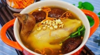 Vì sao thịt chim bồ câu được ví quý hơn 9 con gà? Lợi ích & lưu ý khi dùng