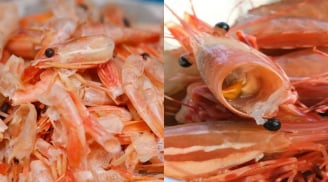 Việt Nam lãng phí “mỏ vàng” từ vỏ tôm: Giá trị gấp 25 lần tôm, cơ hội tỷ đô ai nắm sẽ giàu