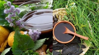 Nhanh tay bứt nắm lá mọc dại về gội đầu, công dụng bất ngờ, tóc suôn mềm, sạch gàu, mọc tóc mới xanh mượt