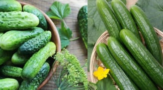 5 nhóm người nên hạn chế ăn Dưa Chuột (Dưa Leo)