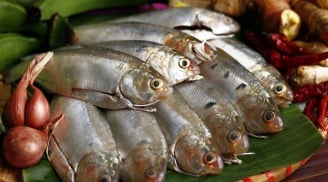 Thấy 7 loại cá này ở chợ phải mua ngay: Dinh dưỡng ngang nhân sâm, rẻ hơn tổ yến, lại không hóa chất