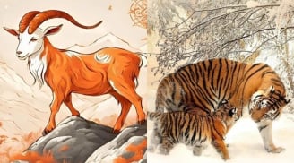Thứ 4 (18/6) Thần Tài dúi tiền tận tay, cuối tuần này 3 con giáp lộc dâng như thủy triều giàu sụ