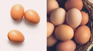 Vì sao quả trứng luôn có một đầu to và một đầu nhỏ?
