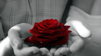 Người tốt với cha mẹ thì có thể tốt với thiên hạ, người tốt với thiên hạ chưa chắc tốt với cha mẹ