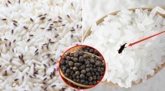 Bỏ thứ này vào thùng gạo, mọt không bao giờ xuất hiện