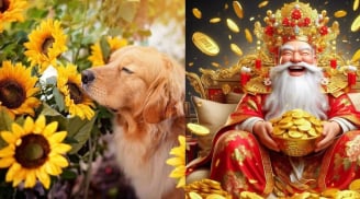 Trong 30 ngày tới: 4 con giáp vận may liên miên, Tổ Tiên Độ Trì trúng lớn, Giàu Lên Bất Ngờ