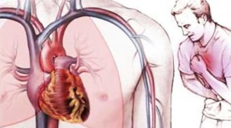 Vì sao tim ít khi bị ung thư? Lý do ít ai ngờ đằng sau sự “miễn nhiễm” đặc biệt của trái tim