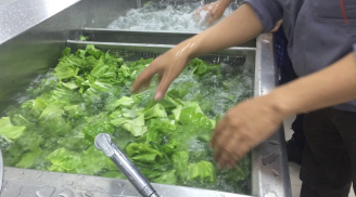 Rửa rau đừng ngâm nước muối, muốn rau sạch, hết thuốc cứ thêm 1 bước này
