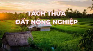 Kể từ bây giờ: Người dân muốn tách thửa đất nông nghiệp cần lưu ý điều này