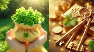 Tổ tiên mách bảo: 3 thay đổi trong Tính Cách là điềm báo Sắp giàu to, như nam châm thu hút tiền bạc