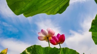 4 dấu hiệu cho thấy một gia đình sắp 'đổi vận': Nắm bắt đúng lúc, phúc khí tự đến
