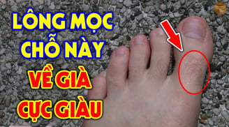 4 vị trí mọc lông Trời Cho Lộc Lớn, mở cửa đón Tiền Tài