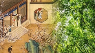 Ông bà dặn: 3 cây này dù nghèo đến mấy cũng đừng chặt, giữ cây là giữ lộc, con cháu được bảo vệ