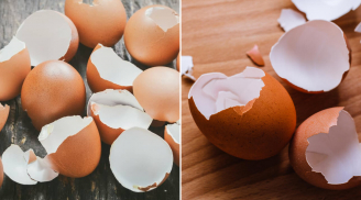 Vỏ trứng đừng đem bỏ, giữ lại có 4 lợi ích tuyệt vời, nhà nào cũng cần