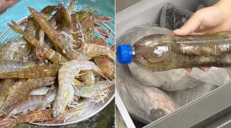 3 mẹo bảo quản tôm tươi lâu, để cả năm vẫn chắc và ngọt thịt