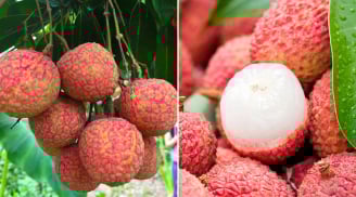 3 thực phẩm kỵ với vải, ăn chung là rước thêm bệnh vào thân