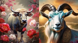 15 ngày liên tiếp (1/7-15/7): 4 con giáp thu nhập tăng nhanh hơn giá vàng phi mã, tắm trong vũng tiền