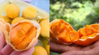 Quả gùi – “viên ngọc thô” từ rừng sâu An Giang bỗng trở thành đặc sản gây sốt phố thị