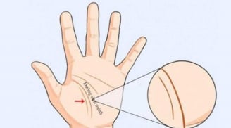 Giải mã 3 đường chỉ tay liên quan đến vận mệnh mỗi người