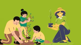 Người xưa có câu: 'Giàu trồng cây nghèo trồng cỏ', nghĩa thực sự là gì?