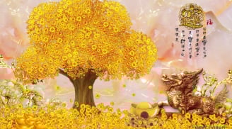 Ý nghĩa phong thủy Cây Tài Lộc  - biểu tượng của sự sung túc, vượng cát khí