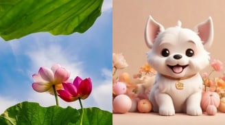 Thời đến cản không nổi: 4 con giáp được vũ trụ 'nạp tiền tự động' vào ví suốt 31 ngày của tháng 7