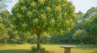 4 loại cây trồng trong vườn giúp “ôm lộc” quanh năm, chặt đi là như bỏ phúc