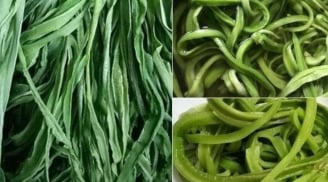 Bất ngờ với loại rau Việt đắt hơn cả thịt, bổ ngang nhân sâm nhưng ít ai biết ăn đúng cách