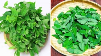 Tại sao khi nấu rau ngót, phải vò lá rau trước khi nấu?