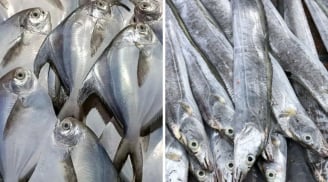 4 loại cá tự nhiên không thể nuôi nhân tạo, giá rẻ: Đi chợ gặp phải mua liền