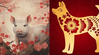 3 con giáp tuổi già không bệnh tật, thọ lâu, càng về trung niên càng giàu, của cải 3 đời không hết