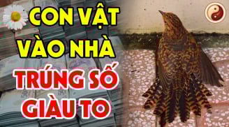 5 con vật Đệ Tử Thần Tài, đến nhà là Trúng Số giàu to