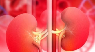 Gia tăng Suy Thận ở Người trẻ, một thói quen cực hại thận mà nhiều người đang mắc