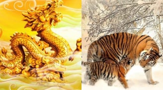 4 con giáp bước vào thời hoàng kim: 90 ngày tới tiền đồ sáng rực, cuối năm làm nên cơ đồ giàu sụ