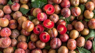Mẹo bảo quản quả mận tươi lâu, giòn cả tháng không phải ai cũng biết
