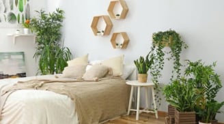 Không nên đặt 3 đồ vật này trong phòng ngủ, kẻo mất tài lộc và khiến sức khỏe đi xuống