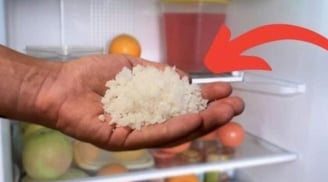 Đặt 1 nắm muối vào tủ lạnh: Công dụng 'vàng' nhà nào cũng rất cần