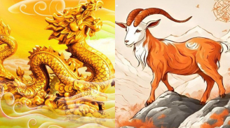 Cuối năm đại phát: 4 con giáp chớp lấy thời cơ, xoay chuyển vận mệnh rực rỡ, số 1 giàu sụ