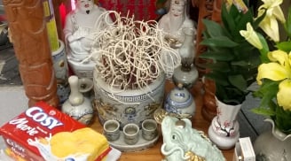 Hết Rằm hạ gấp thứ này khỏi ban thờ thần Tài, giữ cố Lộc tiêu tán hết