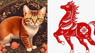 4 con giáp làm ăn phát đạt, tiền liên tục đầy ví sau tuổi 42, càng lớn tuổi càng viên mãn