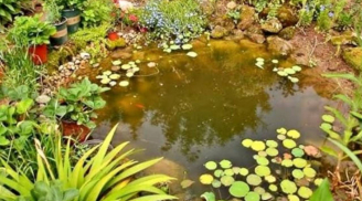 4 lỗi đại kỵ trước nhà khiến gia chủ dễ bệnh tật, hao tài tán lộc mà nhiều người vô tình mắc phải