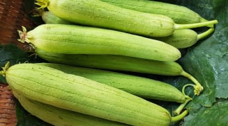 Mướp hương – loại quả mùa hè giàu canxi nhưng ít ai ngờ tới