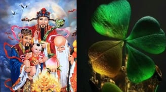 3 con giáp trẻ thì ốm yếu làm cha mẹ vất vả nhưng lớn lên khỏe mạnh giàu có, hiếu thảo phúc đầy nhà