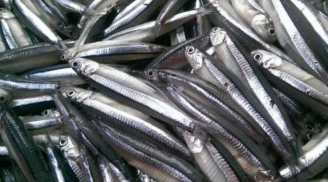 7 loại cá nên mua ngay khi đi chợ: bổ hơn cả nhân sâm, sạch không hóa chất, giá cực rẻ
