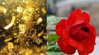 Chủ Nhật Vàng Son: 3 Cung Hoàng Đạo Tình Tiền Cực Đỏ, Vận May Gõ Cửa Từ Sáng Sớm