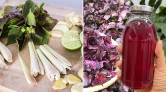 Nấu nước lá tía tô thêm chanh, gừng, sả: Cơ thể nhận được 6 lợi ích tuyệt vời, ai cũng cần