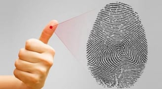 Nhìn hoa tay đoán ngay số mệnh giàu sang phú quý, hay nghèo hèn cơ cực
